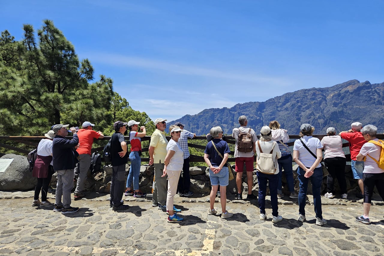 Excursiones en guagua